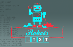 Robots.txt: dalla creazione alle funzioni avanzate