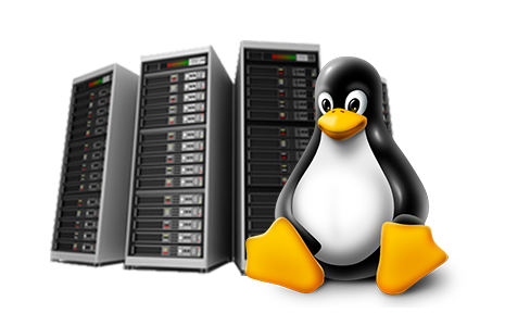 Amministrazione server linux, server web, database MySQL